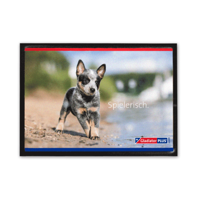 25 GladiatorPLUS Fußmatte "Spielerisch."